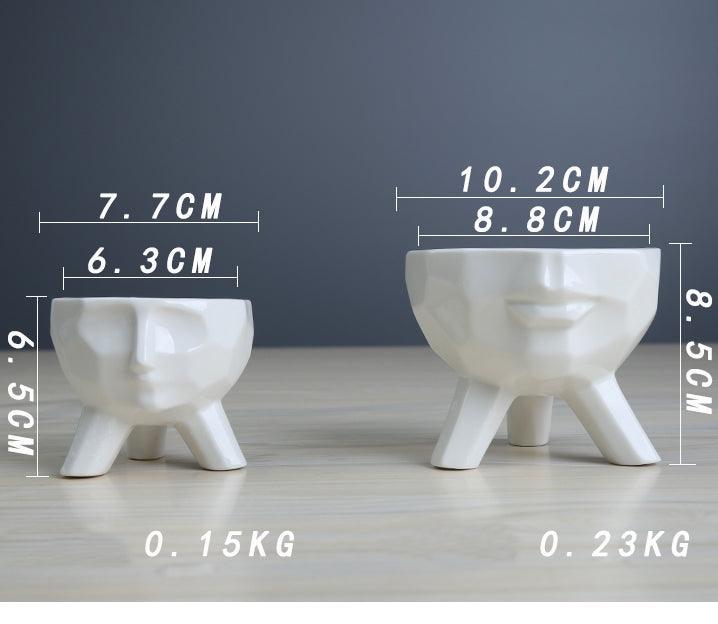 2-Piece White Ceramic Facial Succulent Planters