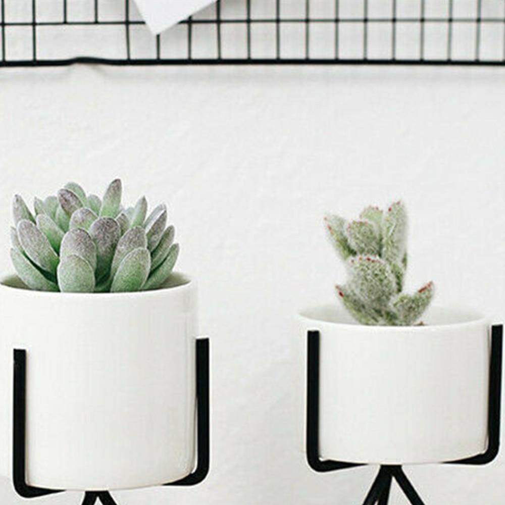 Oasis Ceramic Planter with Geometric Metal Stand